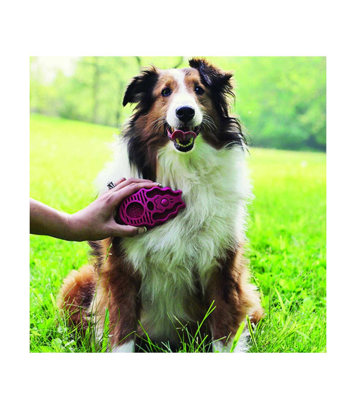 ZoomGroom Raspberry L Kong