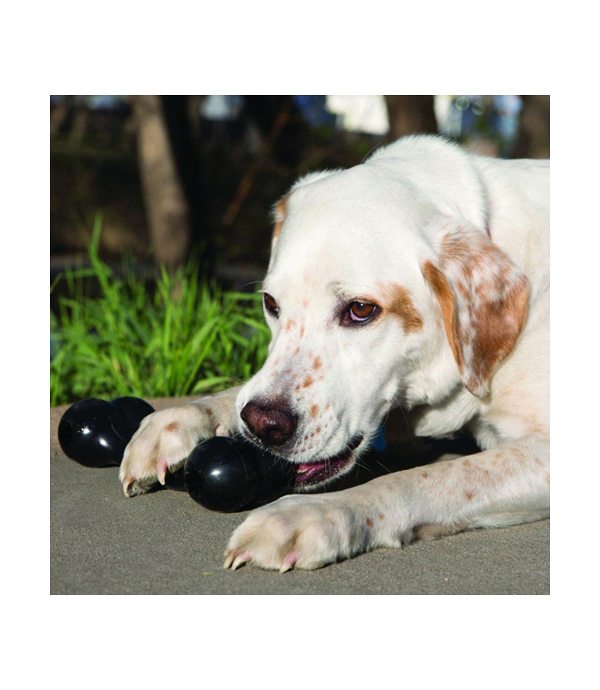 Extreme Goodie Bone L Kong