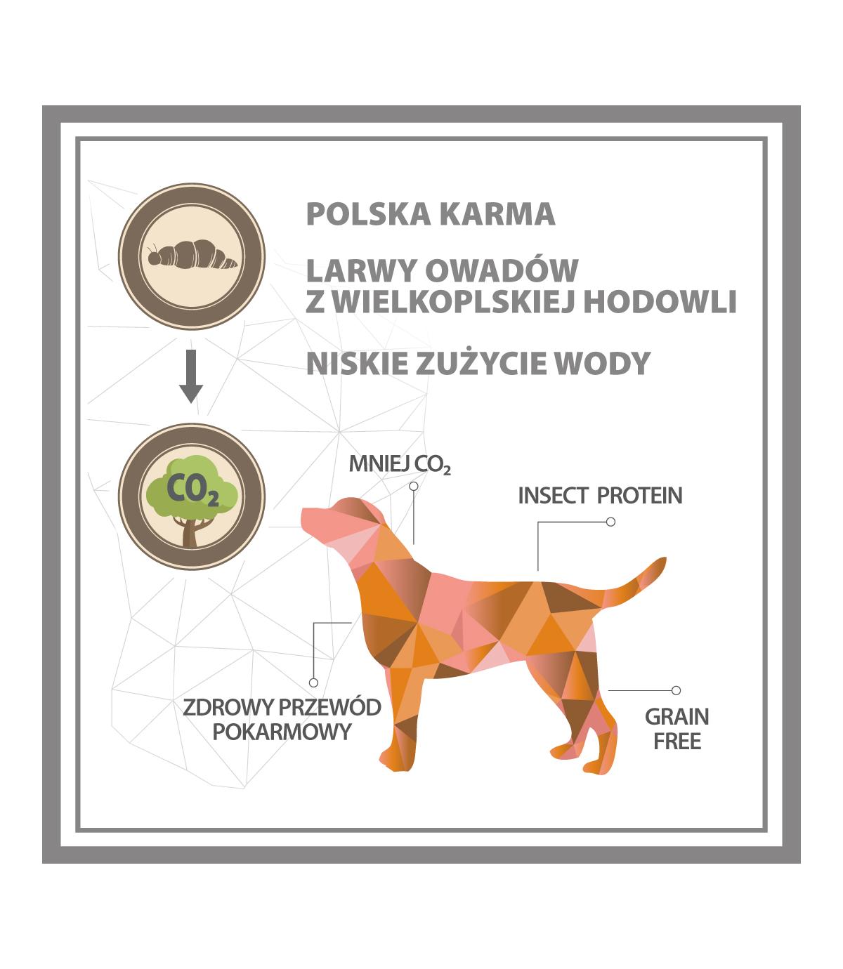 Pupil Premium Insects All Breeds 12kg