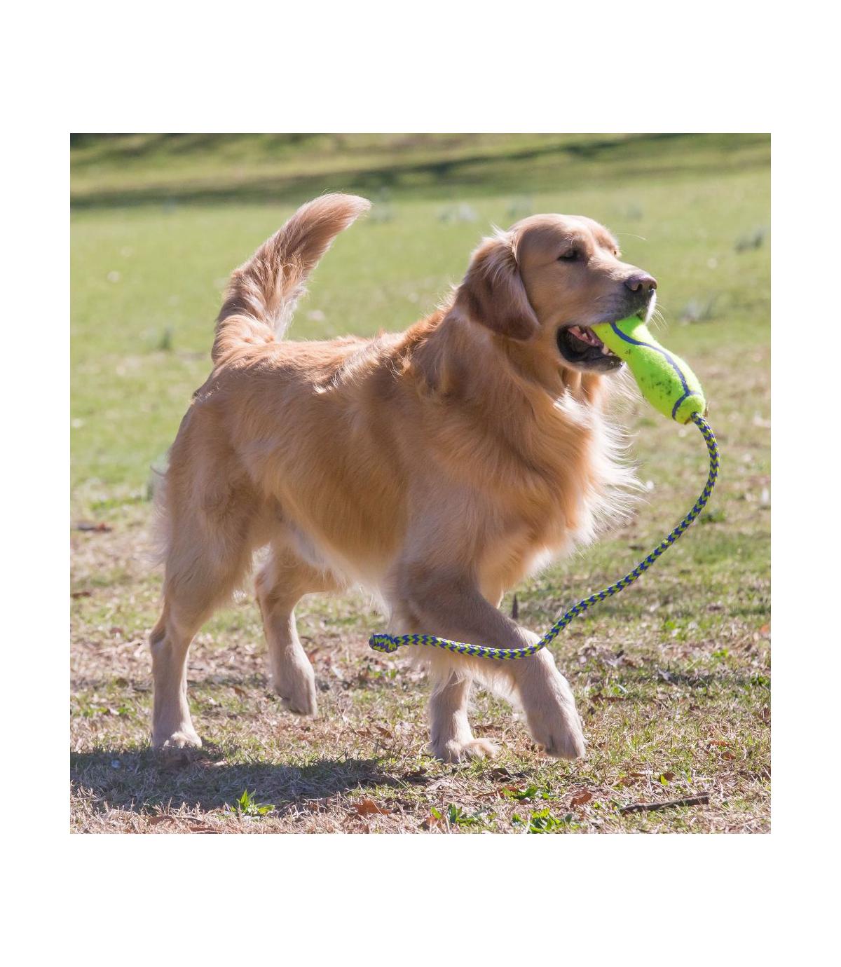 Airdog Fetch Stick with Rope L Kong