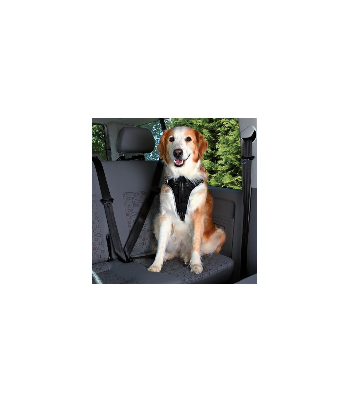 Pasy samochodowe Dog Protect - rozmiar M