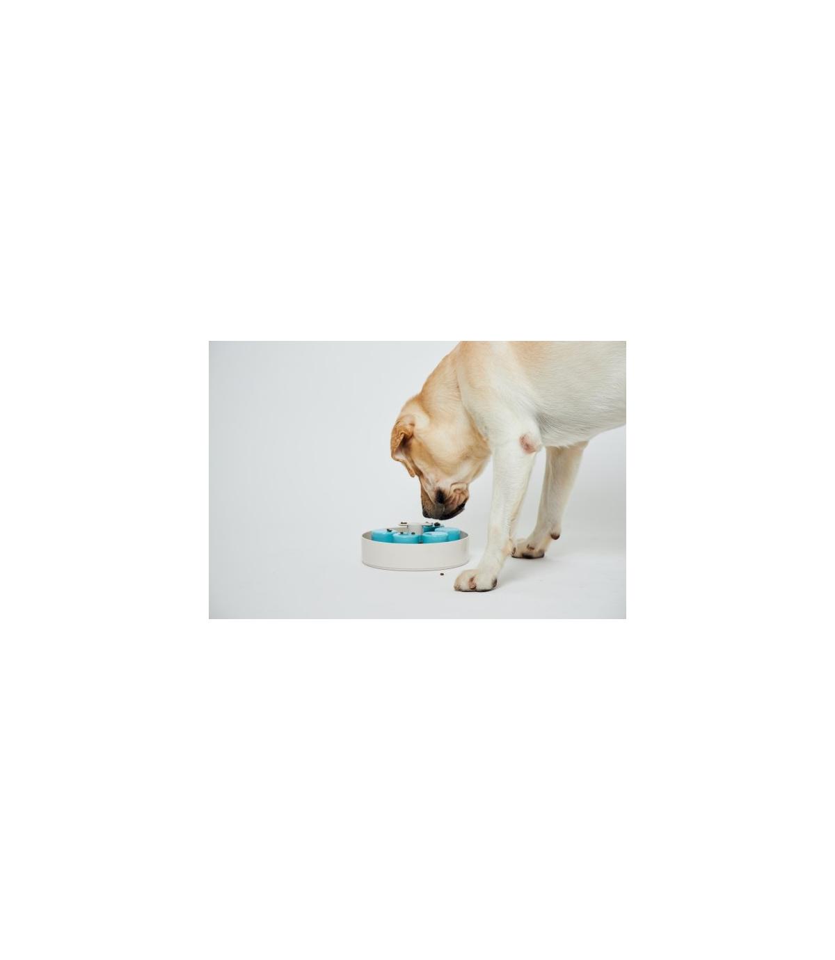 Spin Interaktywna miska Palette