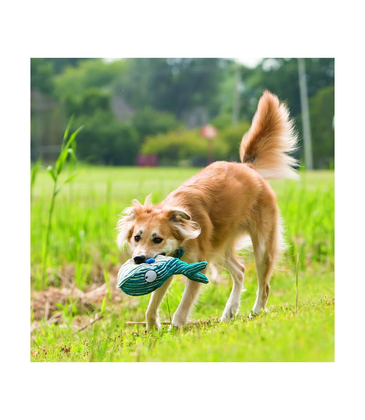 Cuteseas Whale L Kong