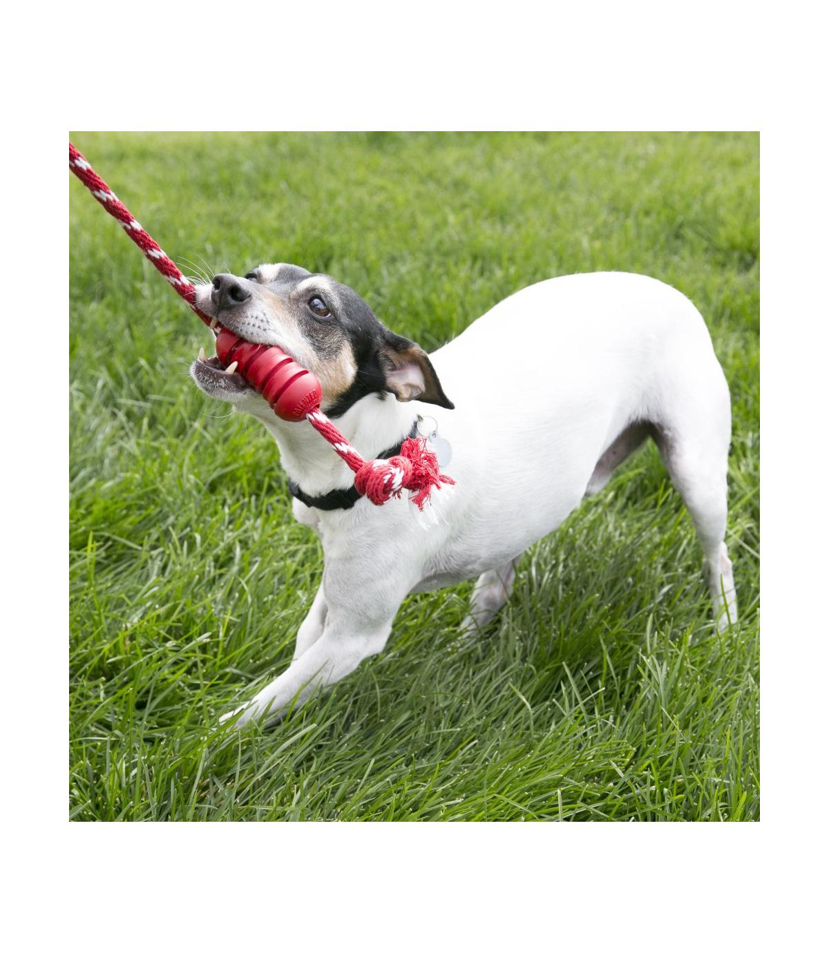 Dental with Rope M Kong