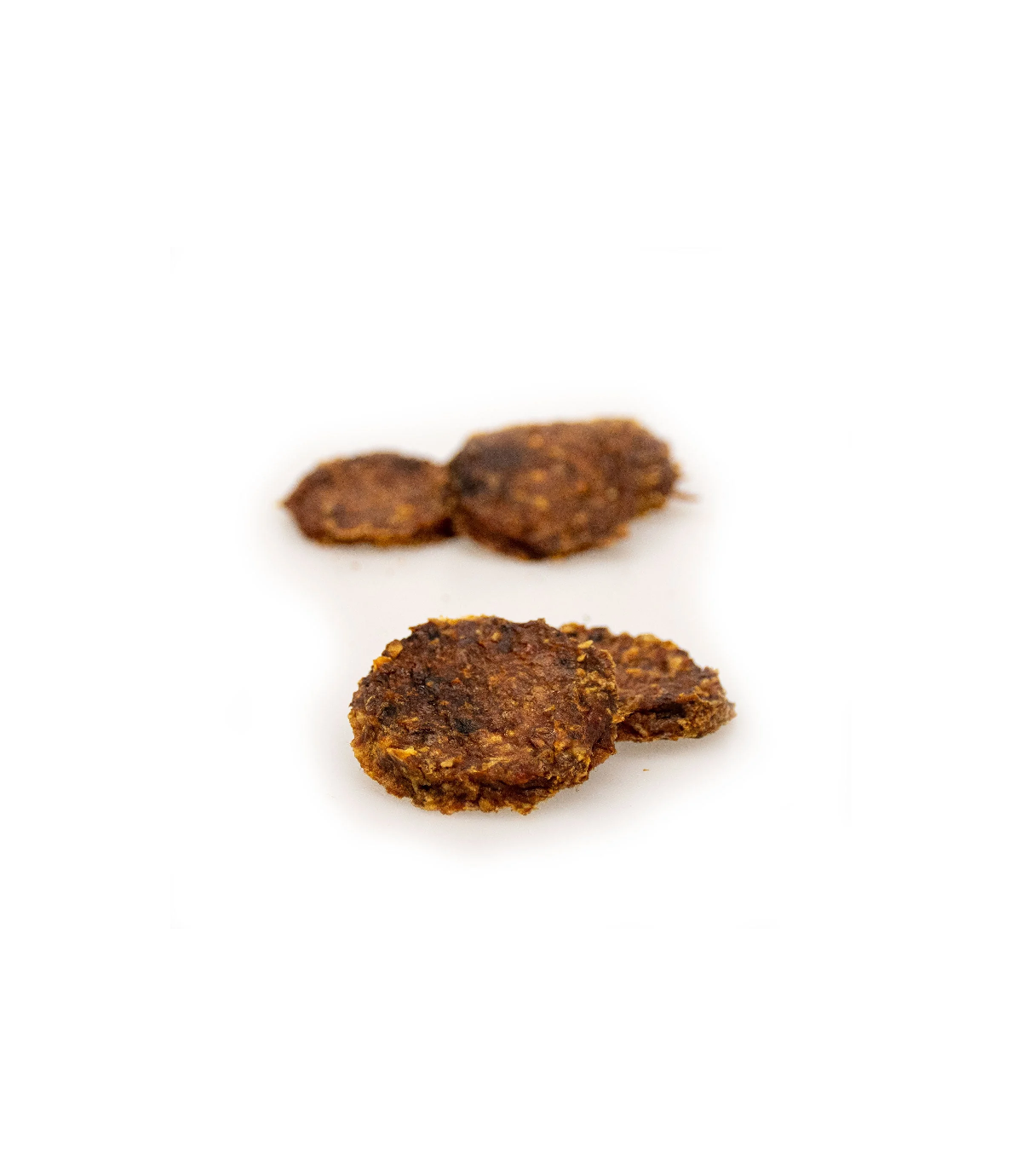 SANADog Chicken Burger with blue- and cranberries 100g