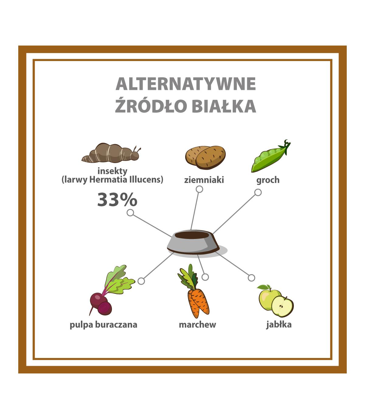 Pupil Premium Insects All Breeds 12kg