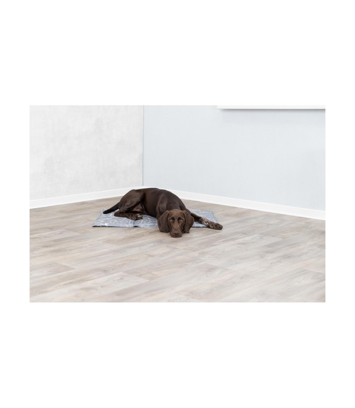 Miękka mata chłodząca XXL