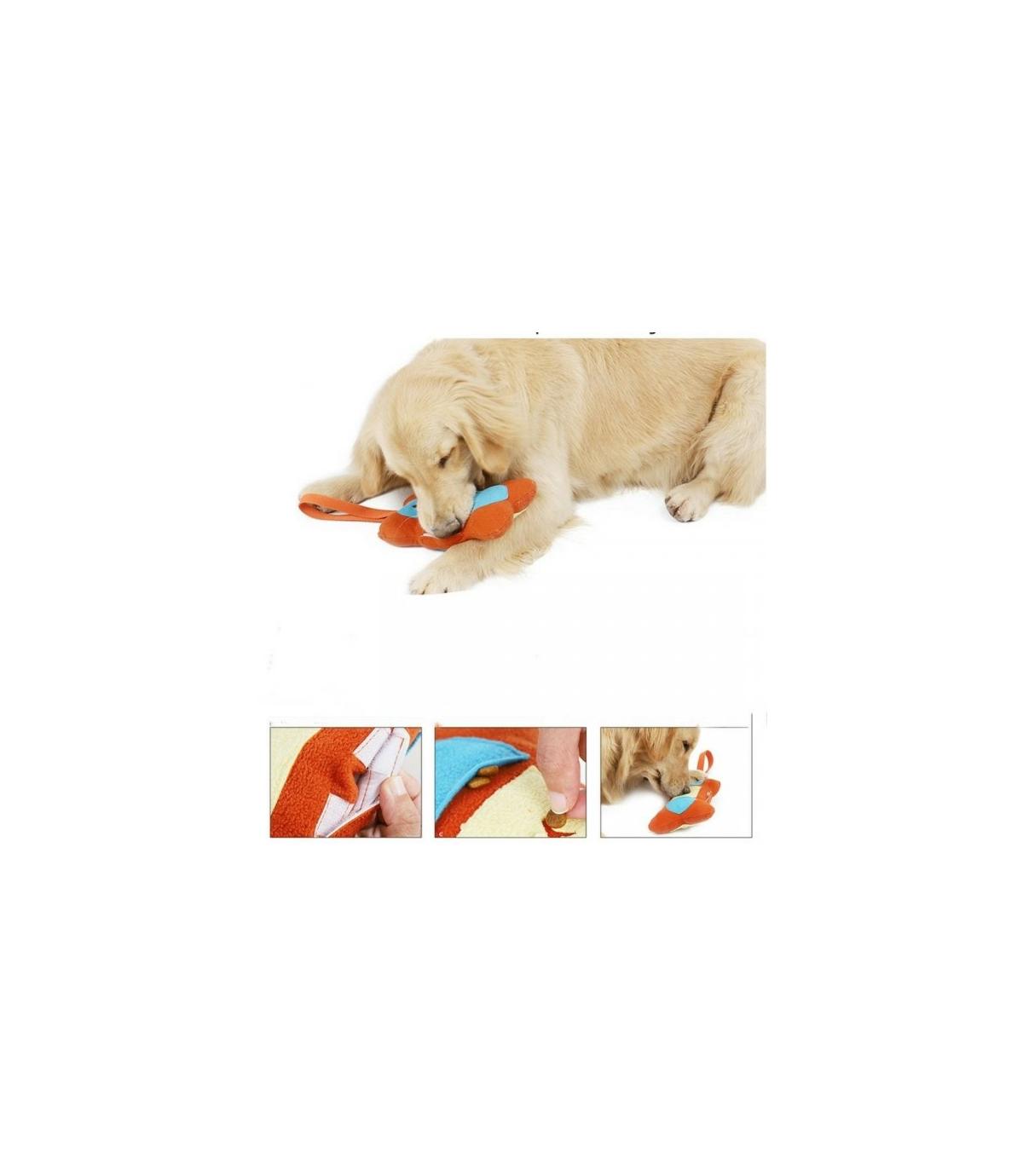 Kość - zabawka węchowa