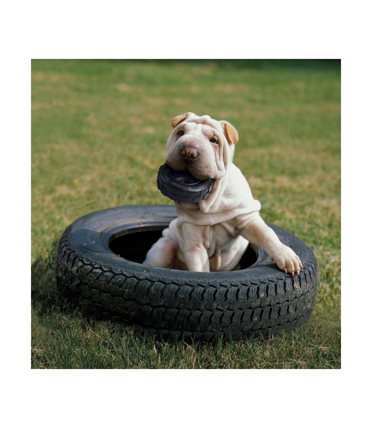 Extreme Tires M/L Kong