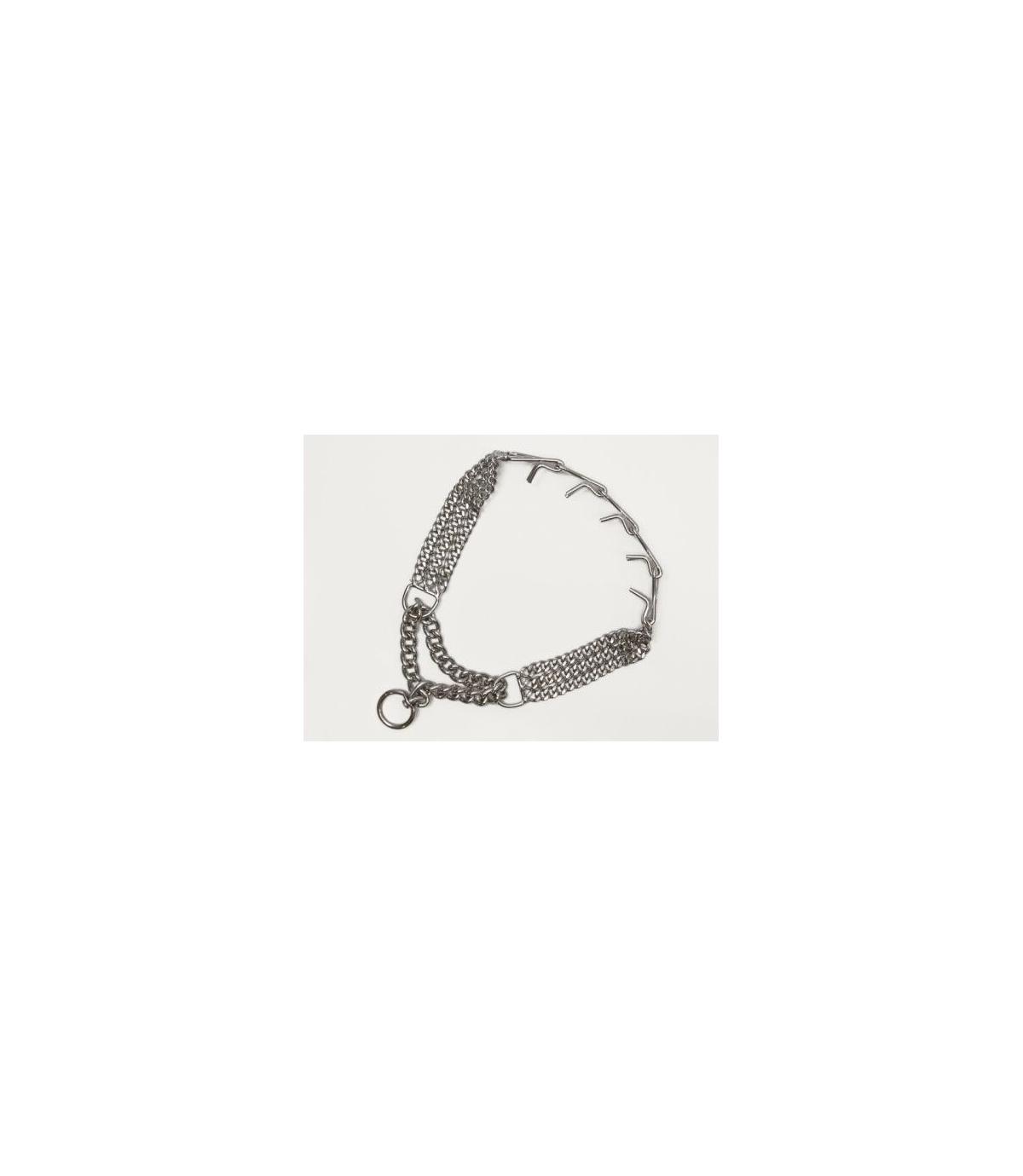 Półkolczatka z łańcuszkami - 3/65