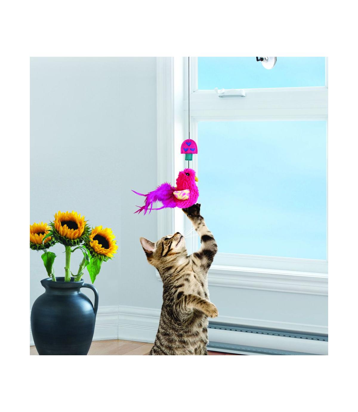 Connects Window Teaser Kong Cat