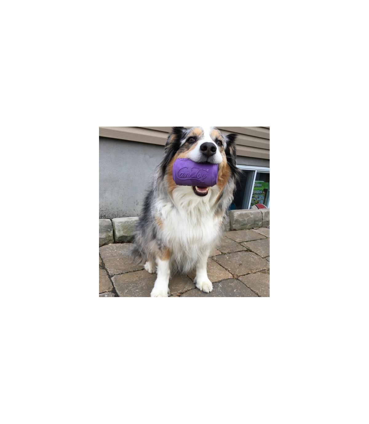 Puszka na smakołyki L