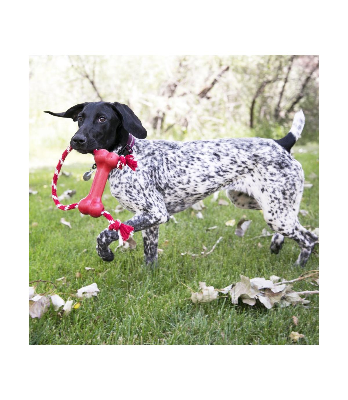 Goodie Bone with Rope M Kong