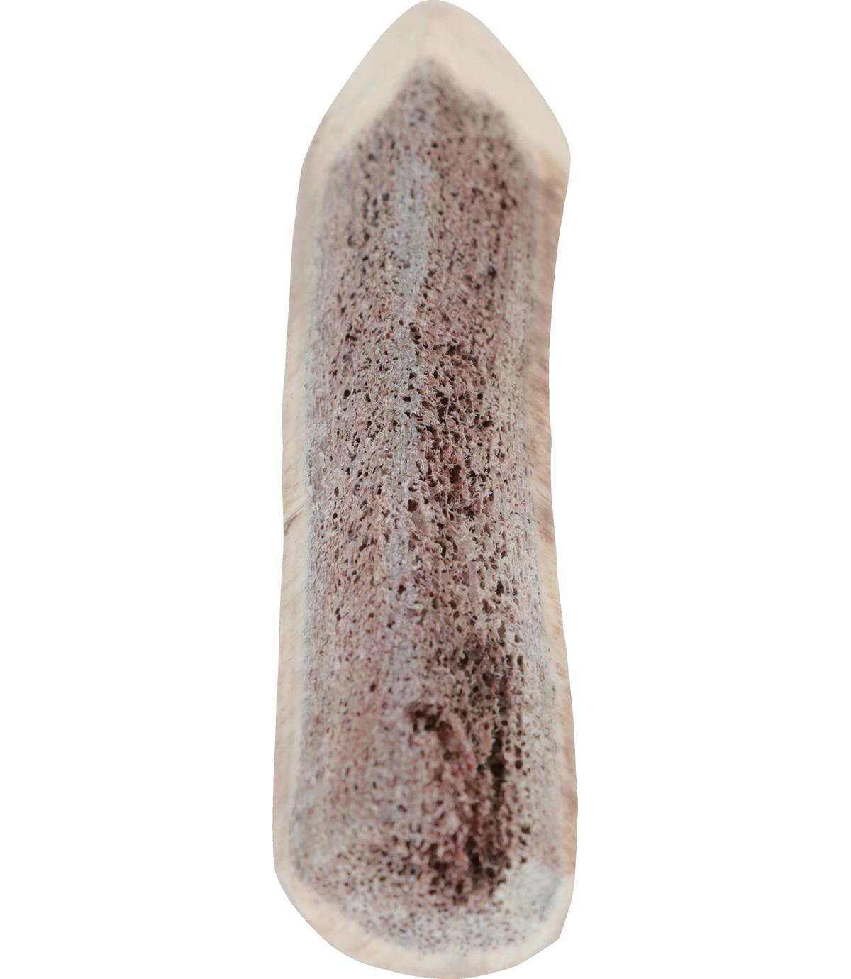 Poroże Jelenia Puppy Zolux