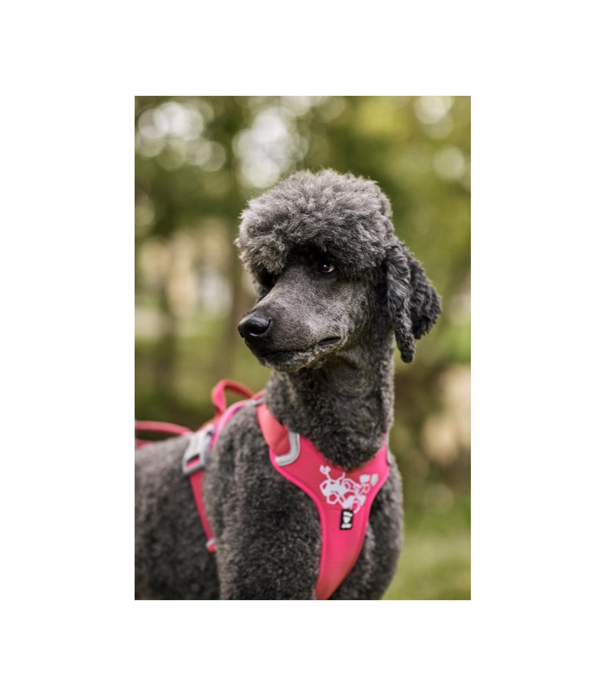 Szelki Hurtta Weekend Warrior Harness 45-60cm