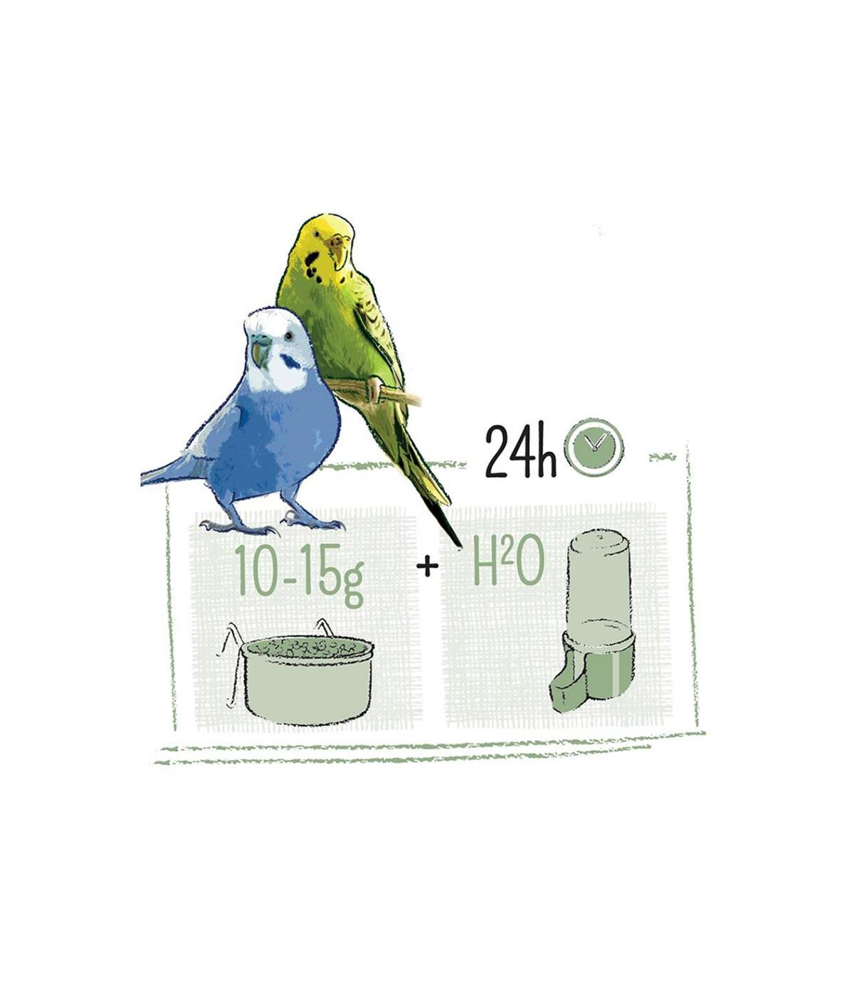 Puur Budgie 2kg