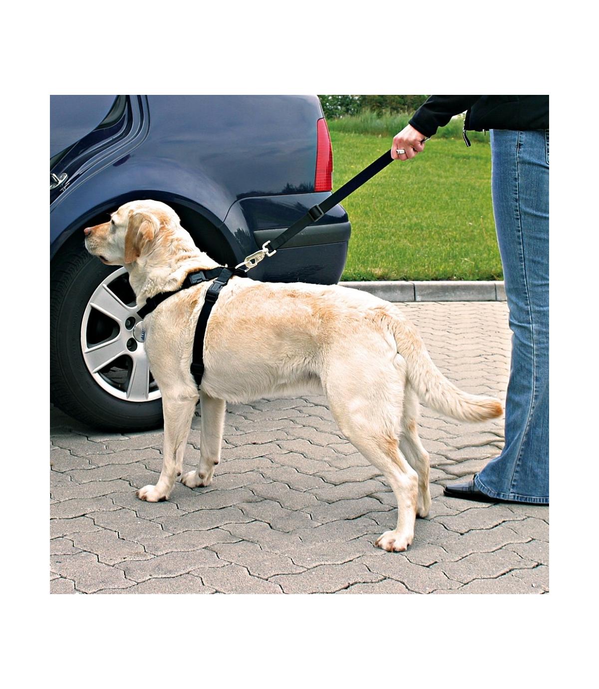 Szelki samochodowe - pasy dla psa - rozmiar L