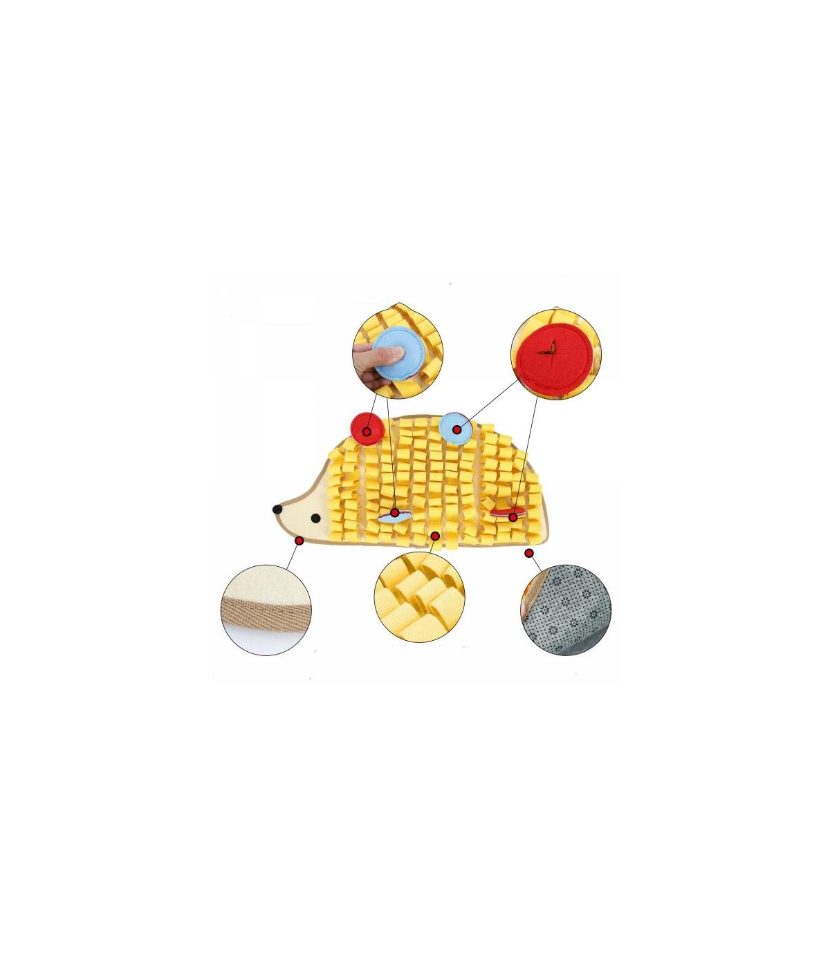 Mata węchowa Jeżyk