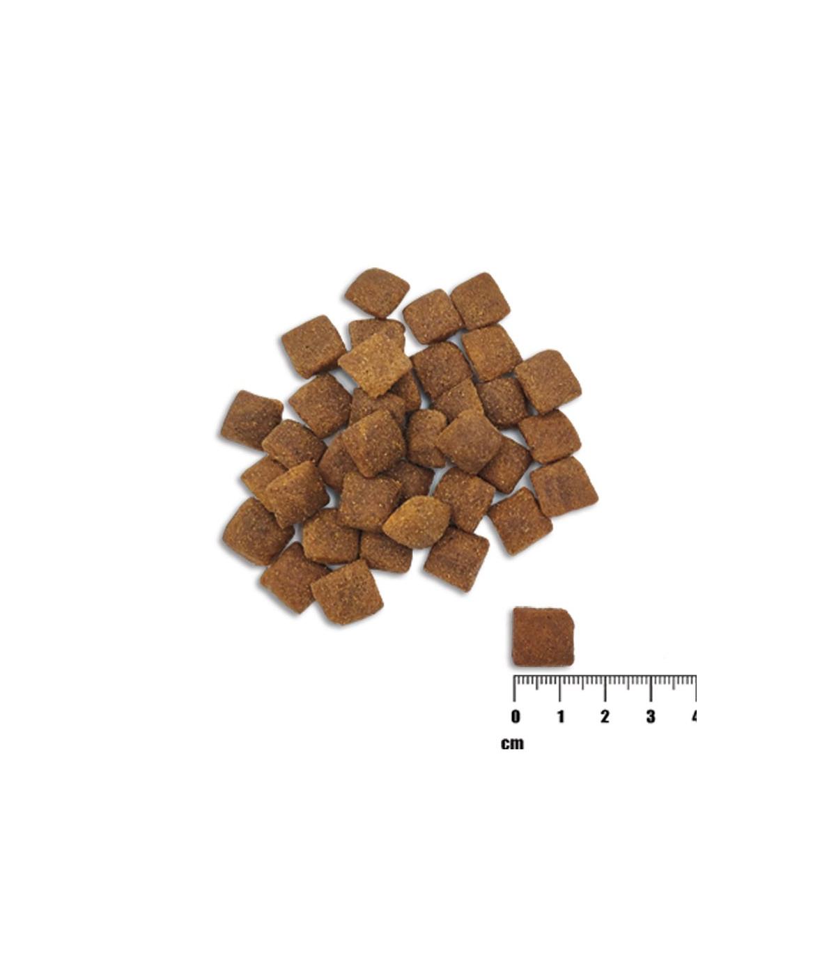 Raw Paleo Healthy Grain Adult Lamb 2kg