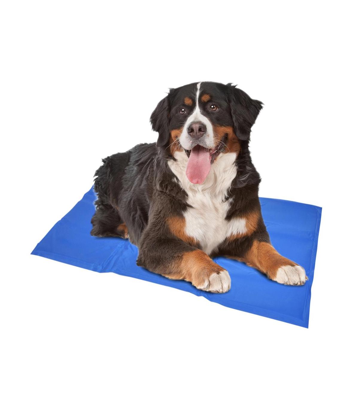 Mata chłodząca 90x50 cm