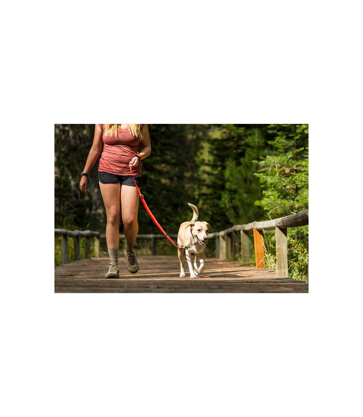 Smycz Ruffwear Slackline 2w1 - 1,1-1,8m