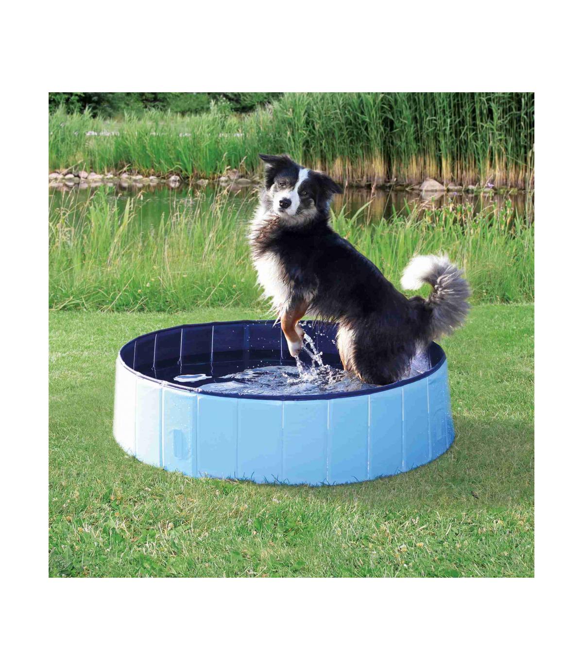 Basen dla psów 70 cm