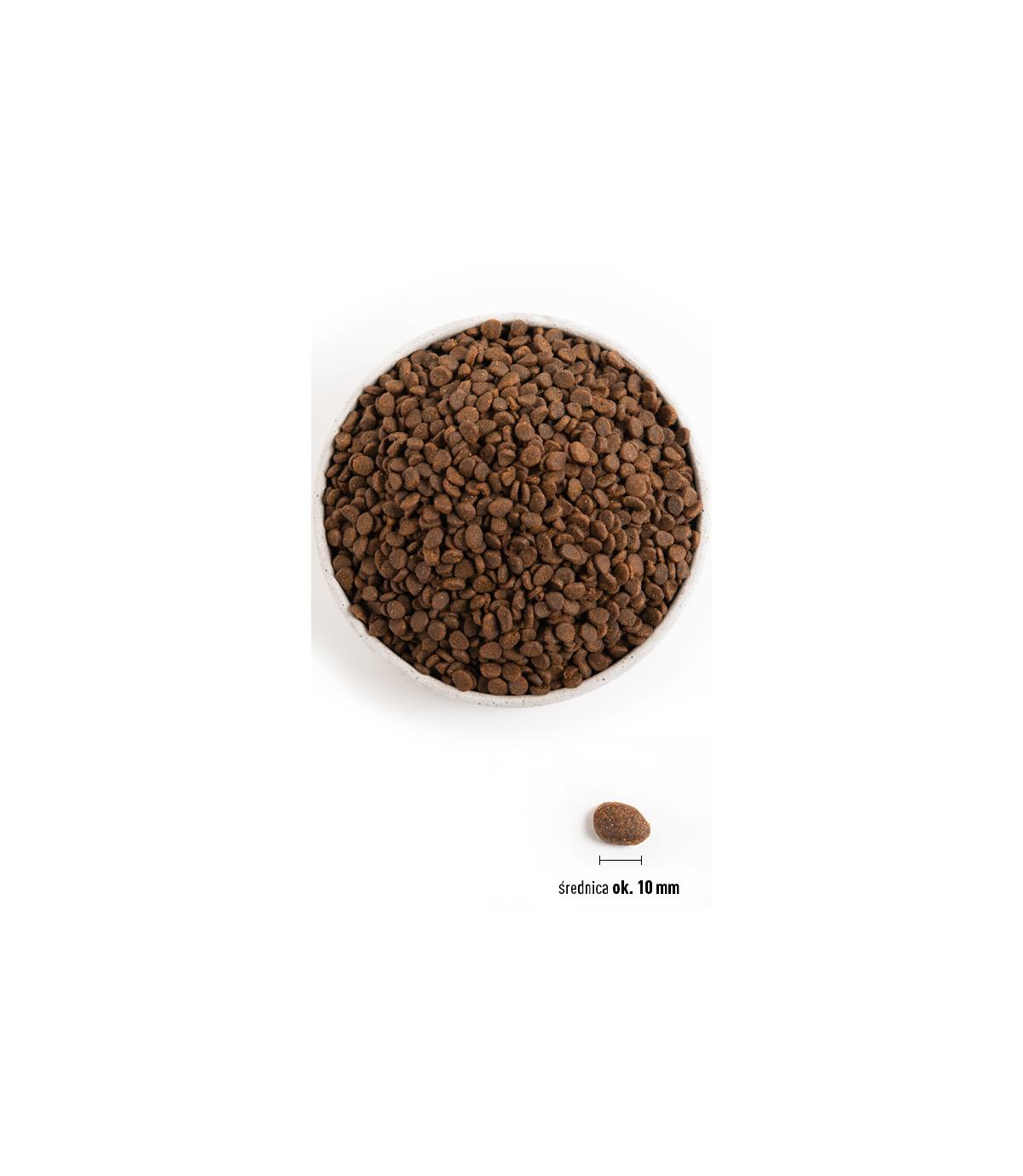 Orijen Regional Red Cat 340g