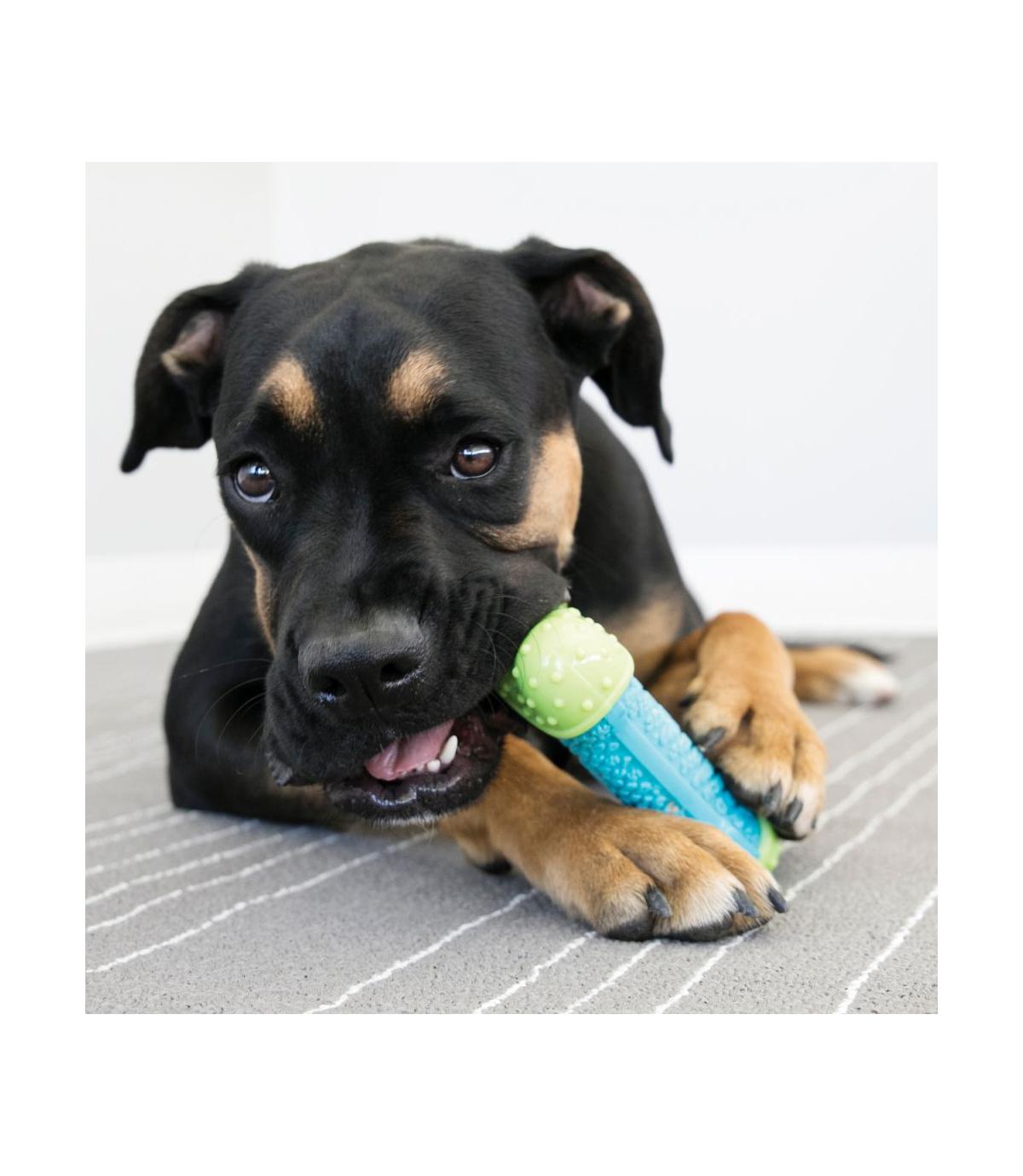 Corestrength Bone M/L Kong