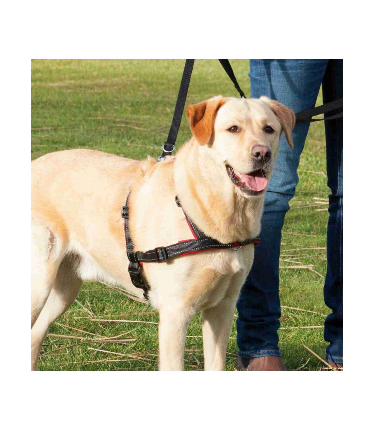 Szelki treningowe Lead'n'Walk Soft S-M