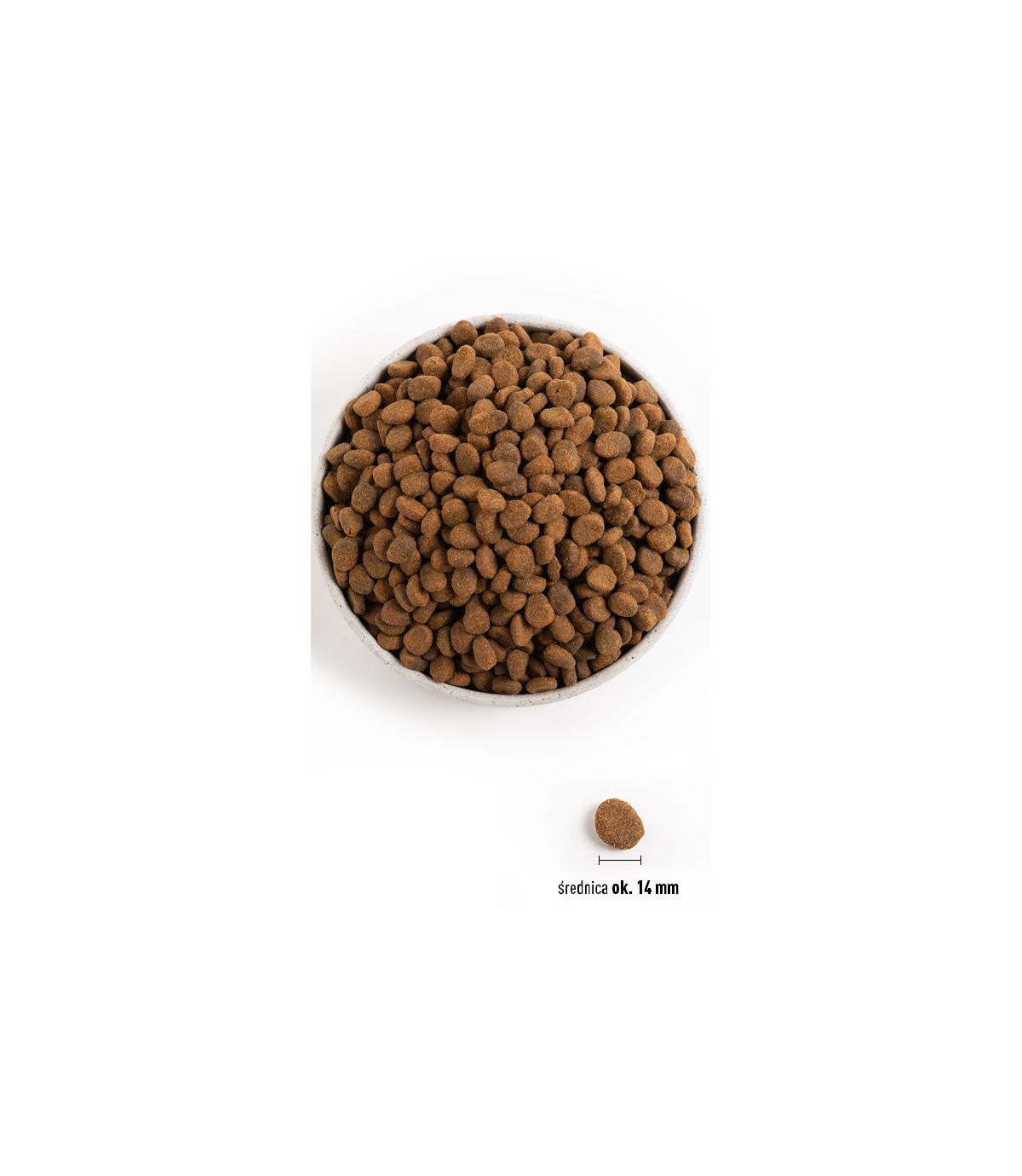 Orijen Regional Red Dog 2kg