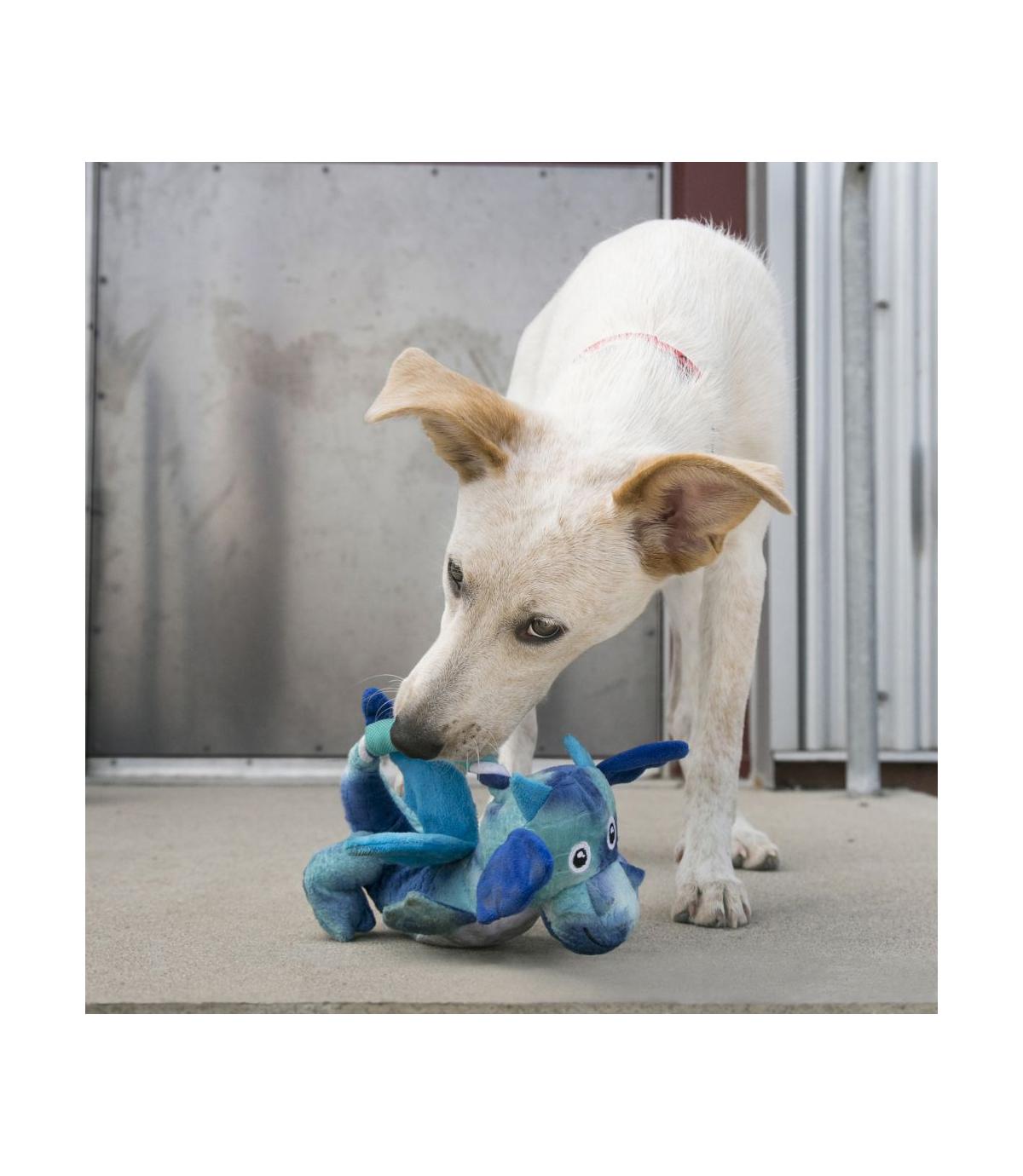 Knots Dragon M/L Kong