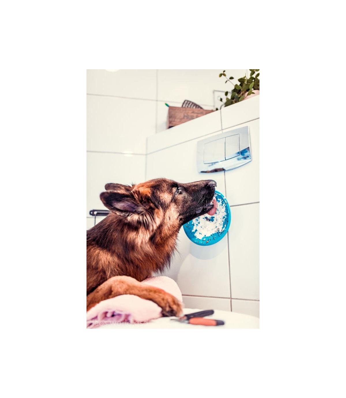 Mata LICKIMAT Splash