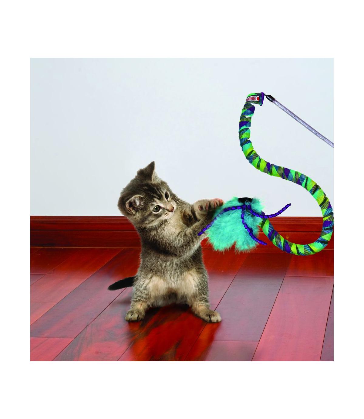 Curlz Teaser Kong Cat