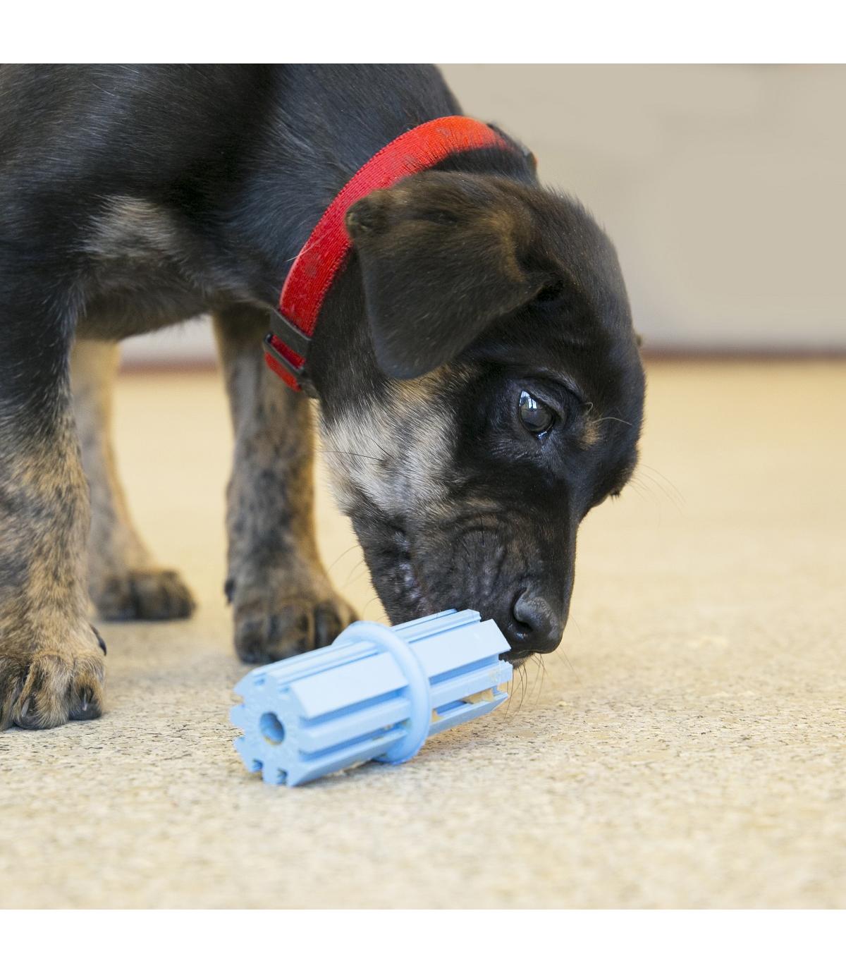 Puppy Teething Stick S Kong
