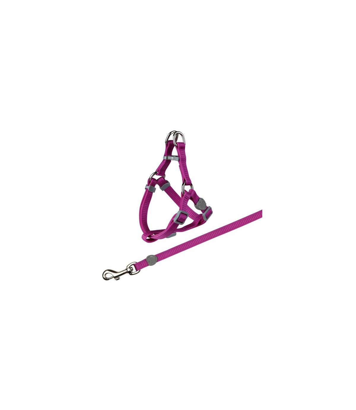 Komplet dla kota - 26-37cm/10mm