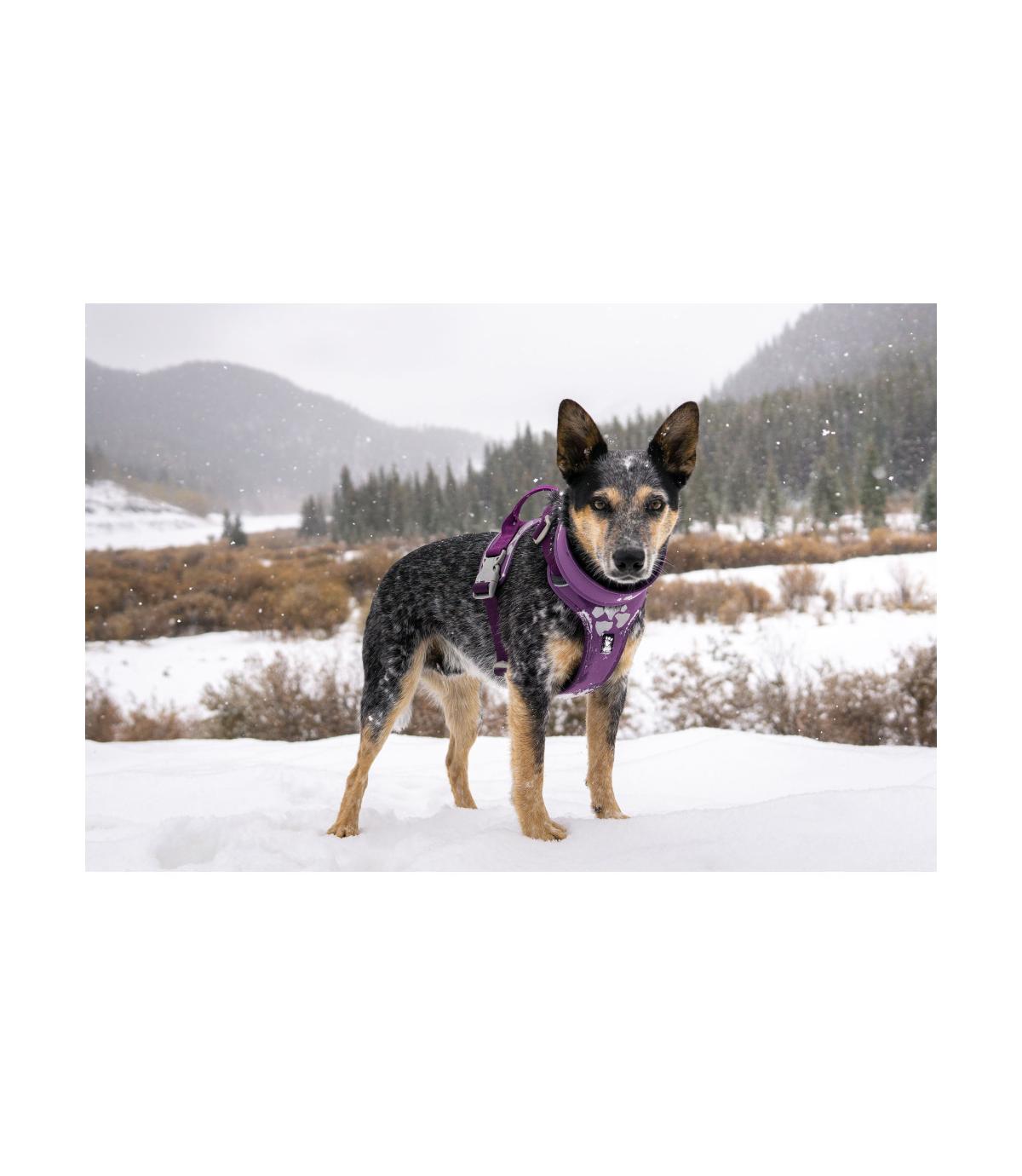 Szelki Hurtta Weekend Warrior Harness 100-120cm