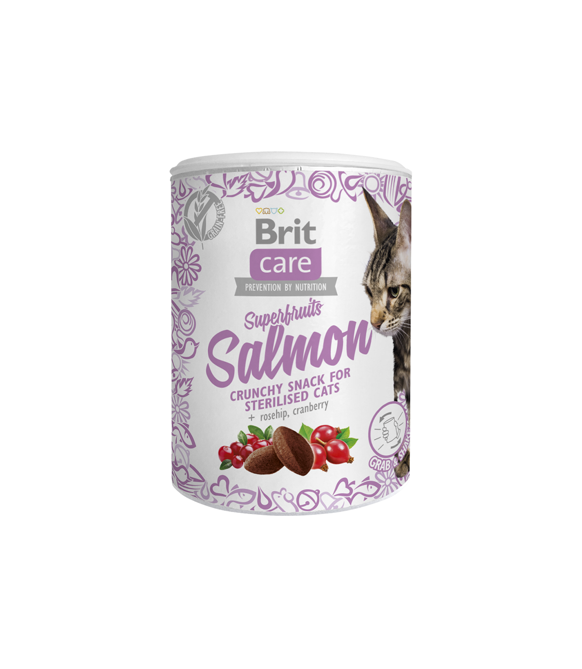 Brit Care Cat Snack Superfruits Salmon 100g