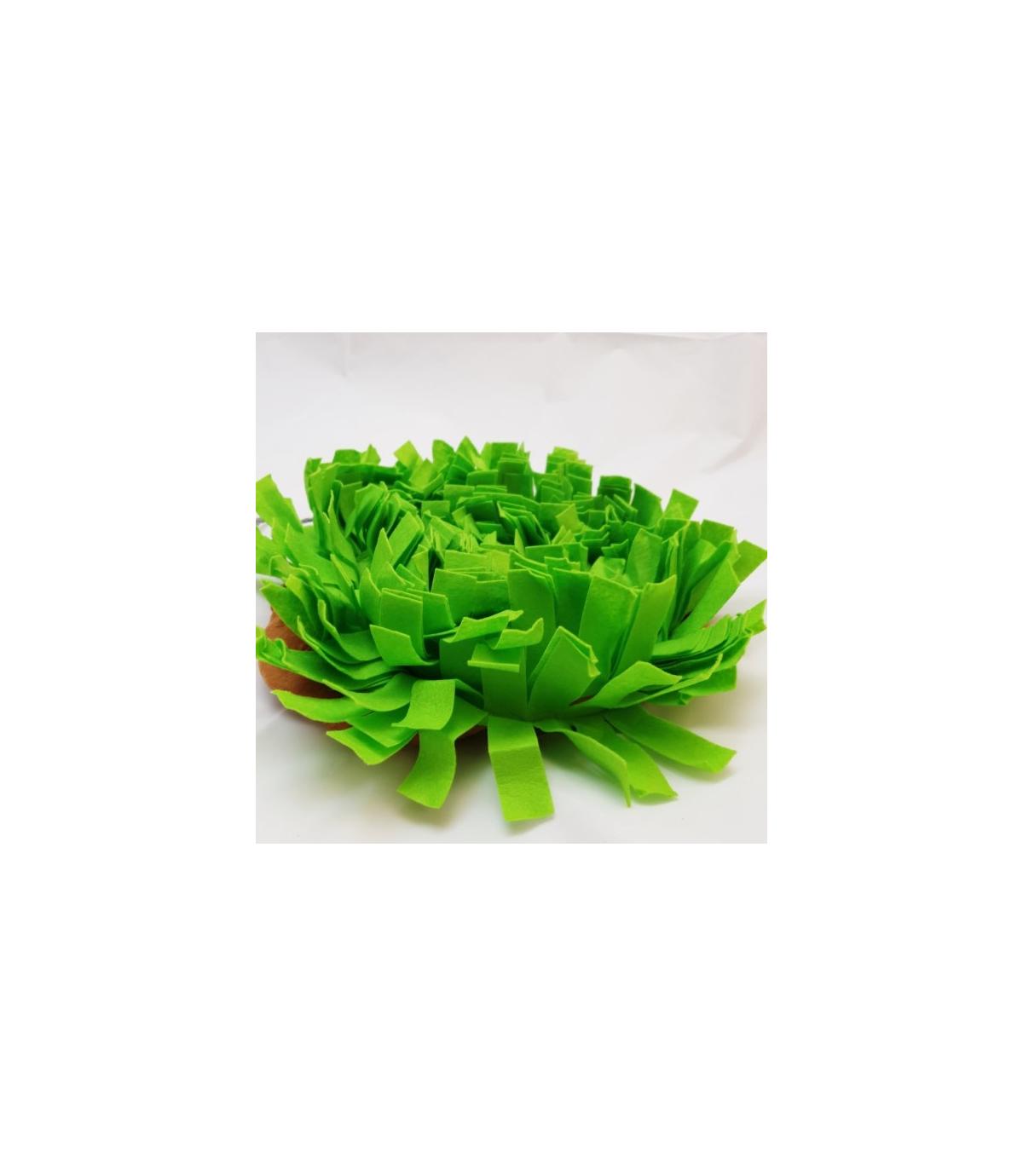 Mata węchowa Slow food