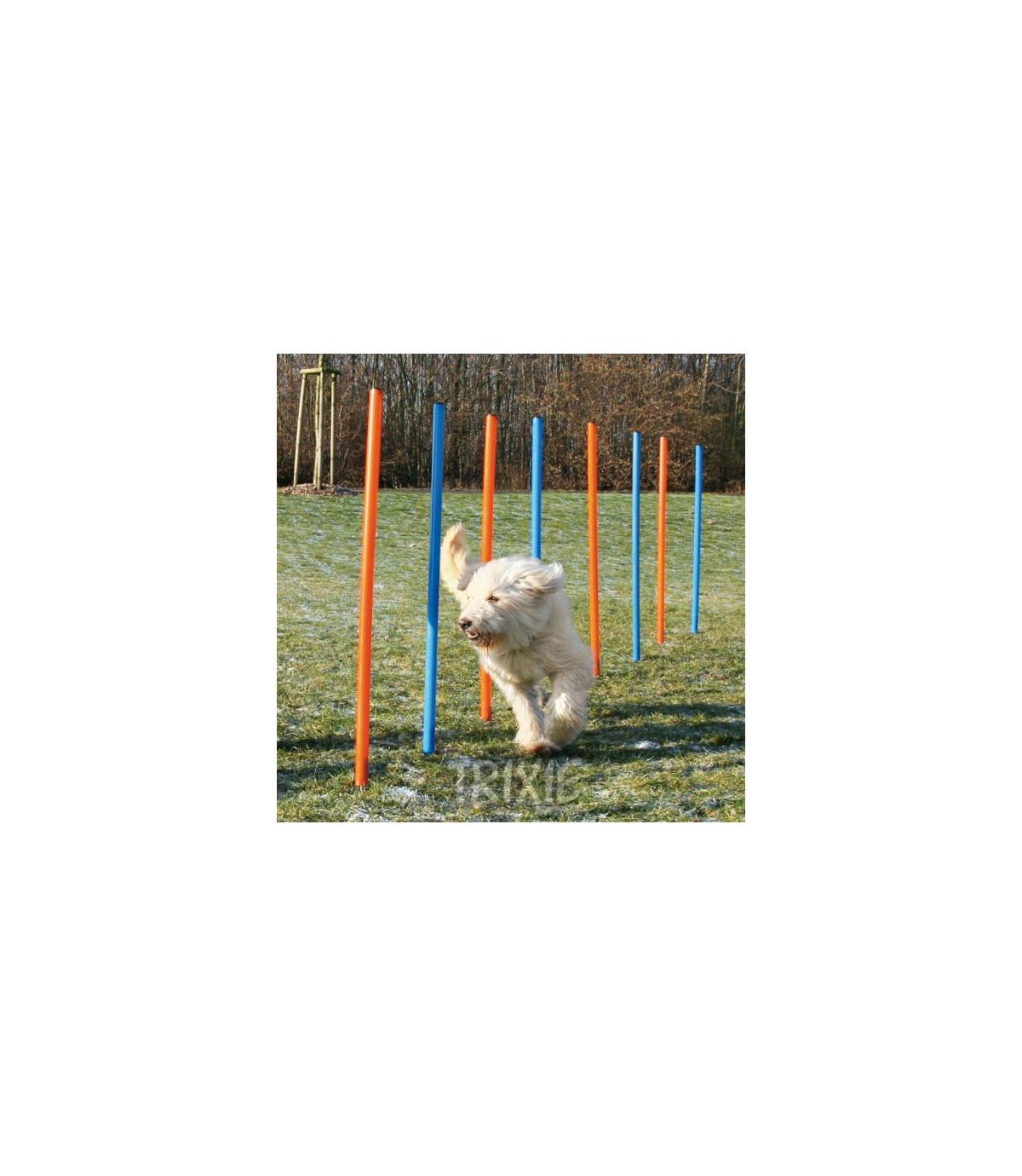 Slalom Agility - 115x3cm