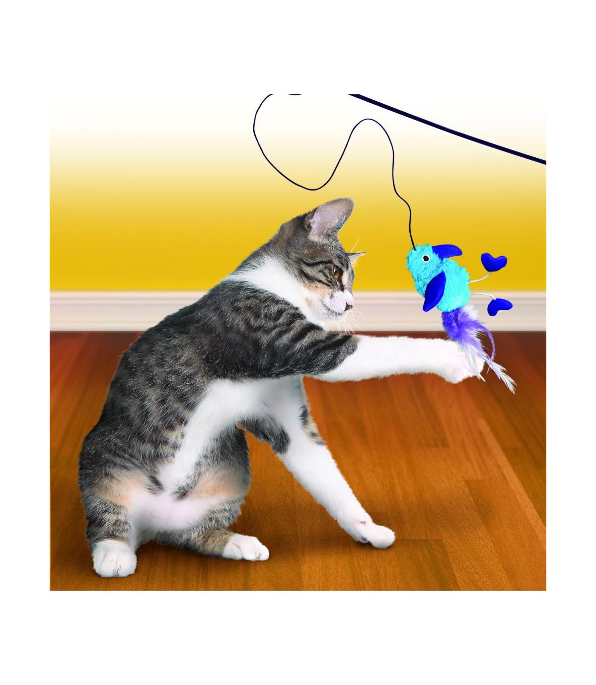 Feather Teaser Kong Cat