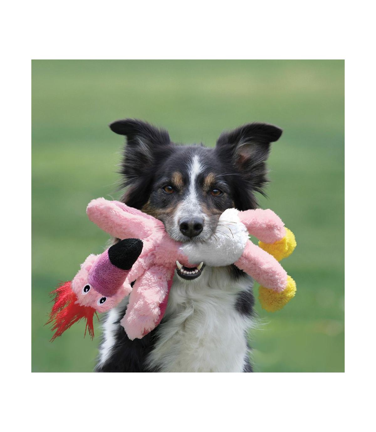 Knots Wild Bird M/L Kong