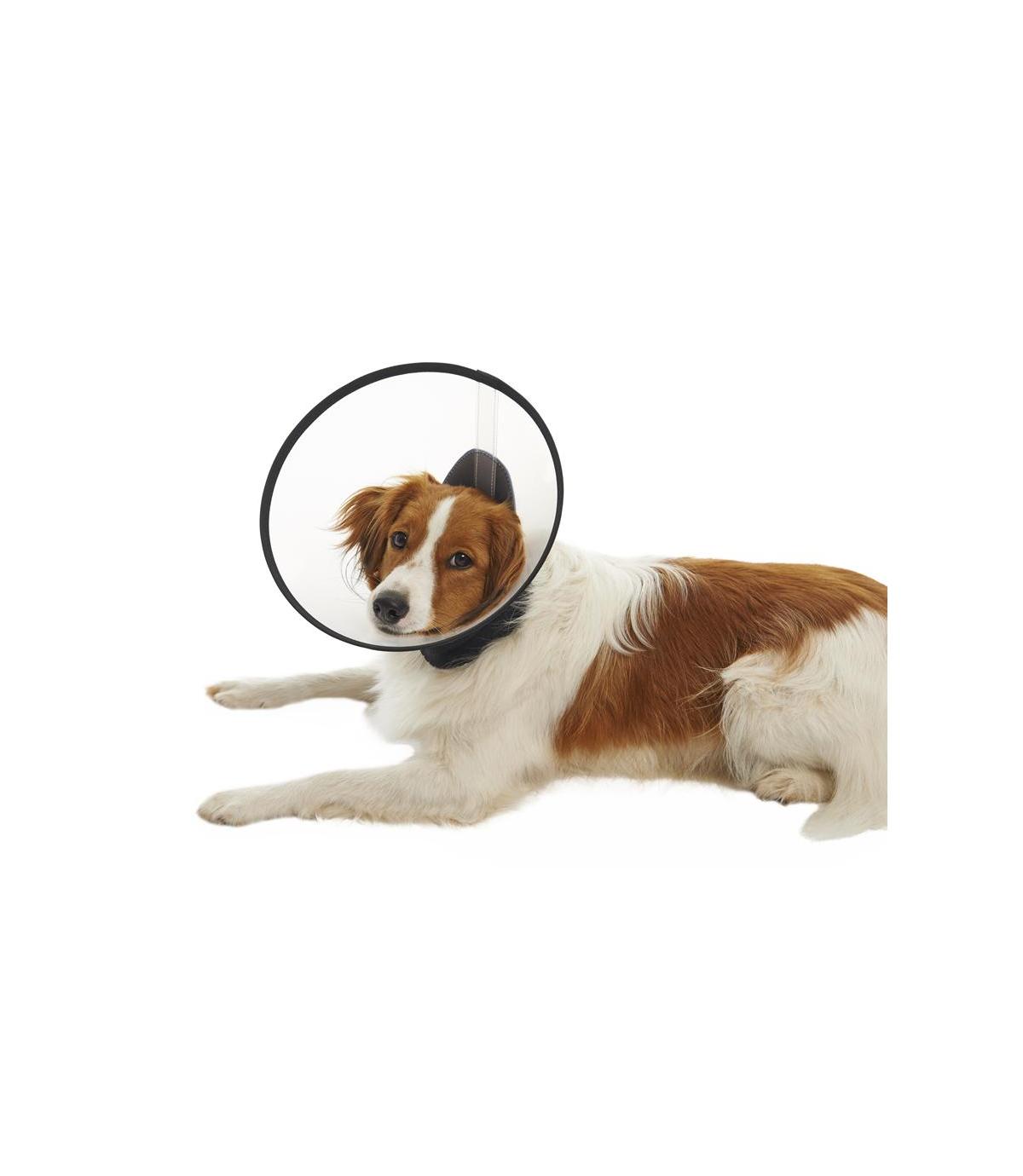 Kołnierz ochronny Buster Premium - M