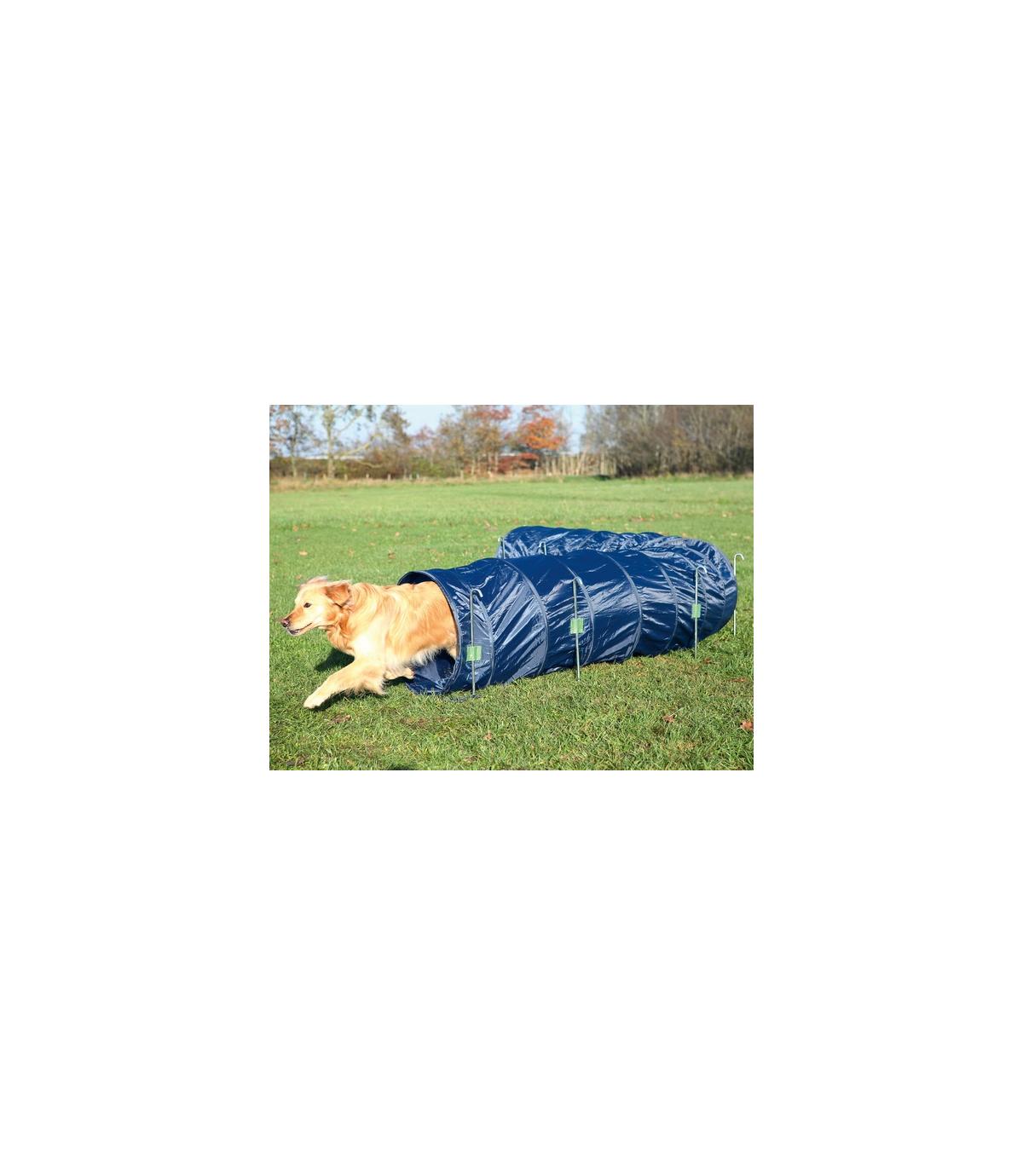 Tunel sztywny Agility - 60cm/5m