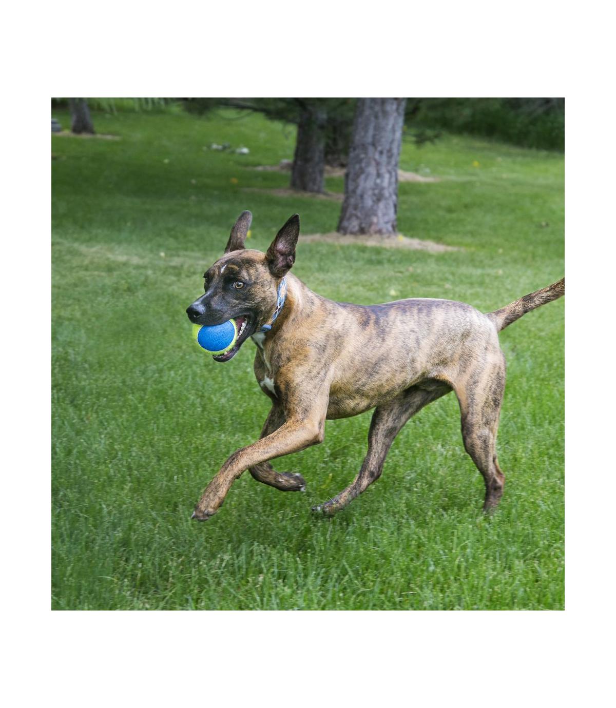 SqueakAir Ultra Balls L 2szt Kong