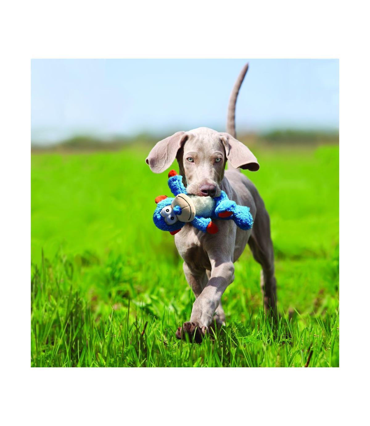 Cross Knots Monkey S/M Kong