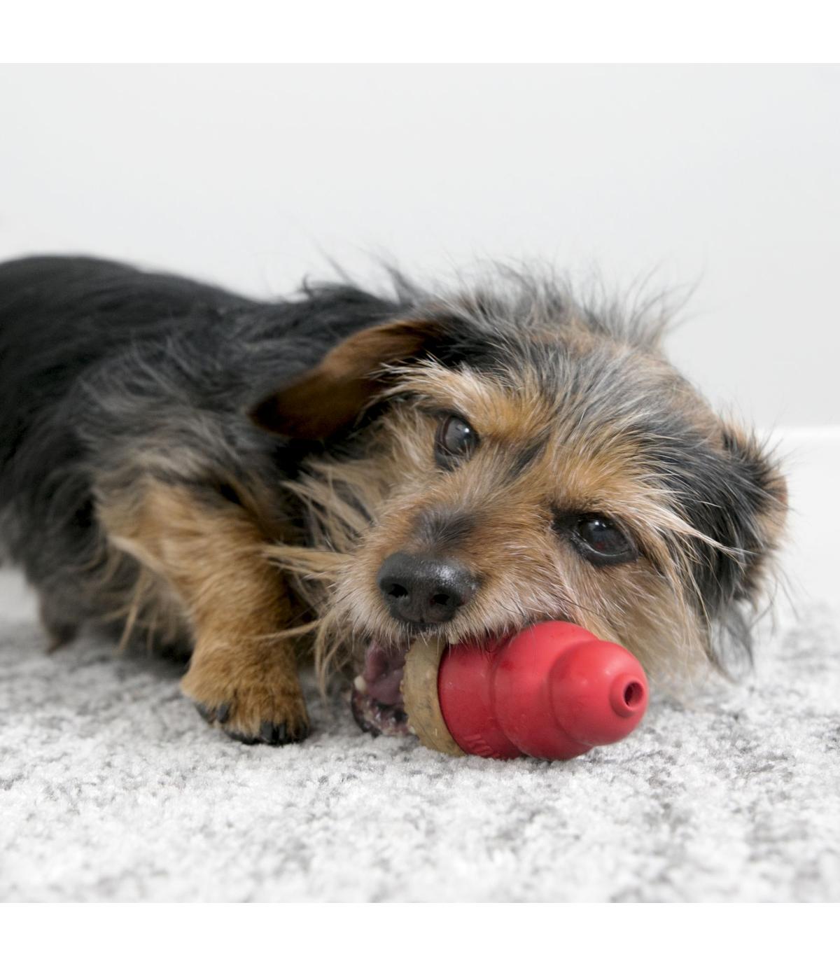 Kong Marathon S Peanut Butter