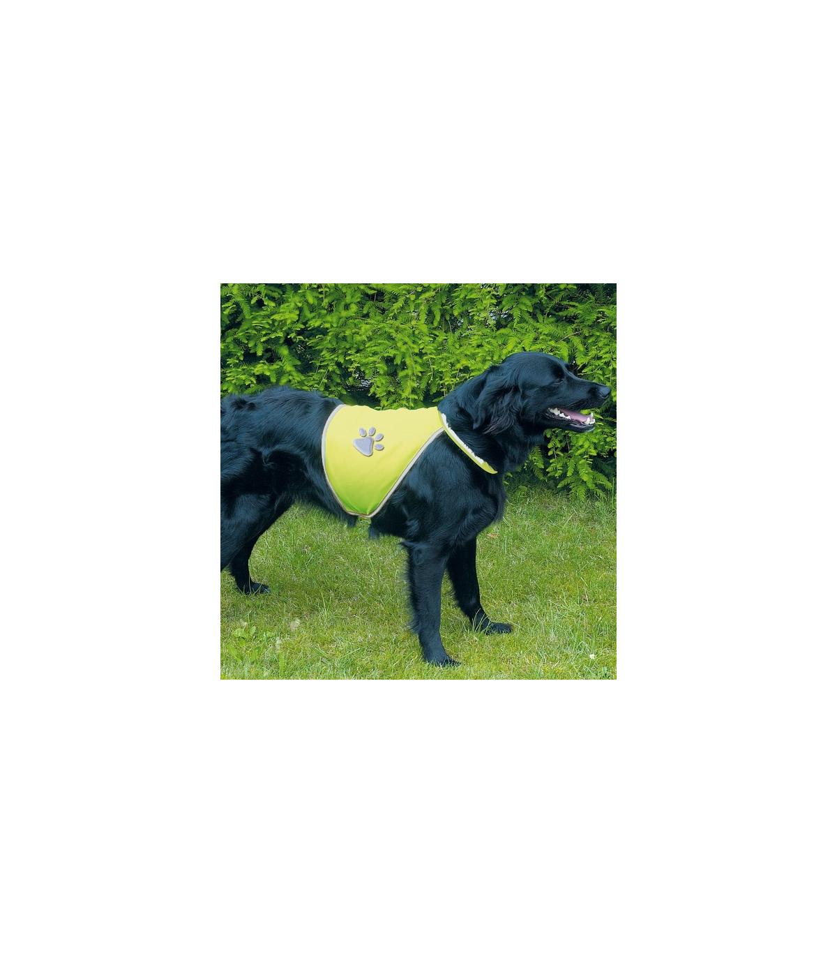 Odblaskowa kamizelka - L