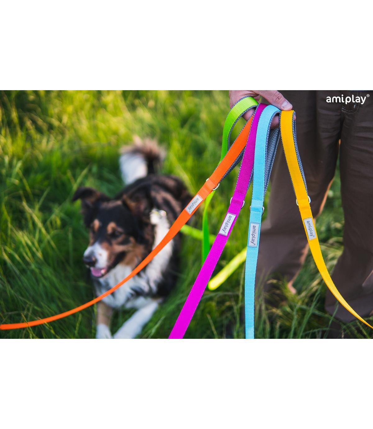 Smycz regulowana Easy Fix Samba L