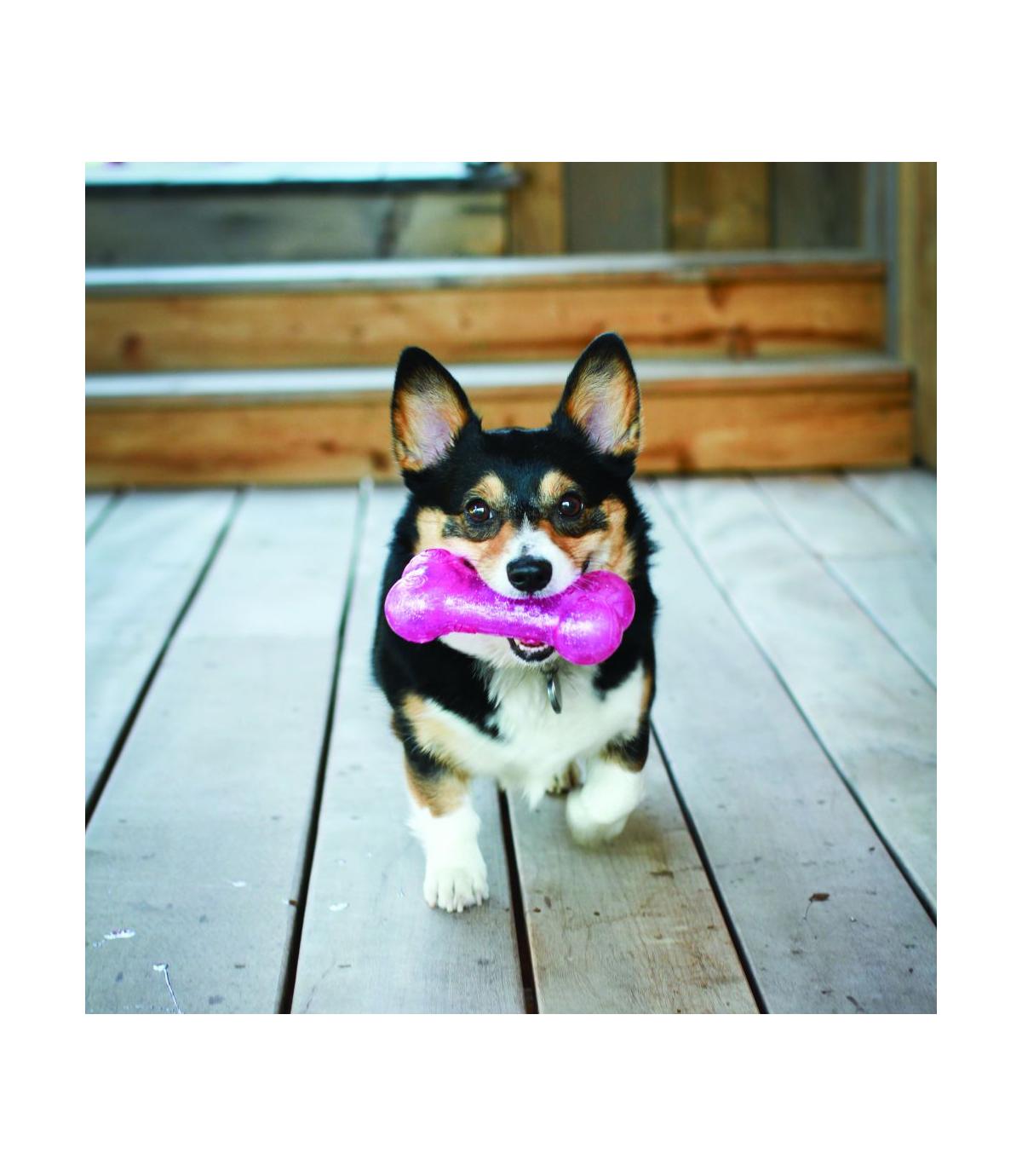 Squeezz Crackle Bone M Kong