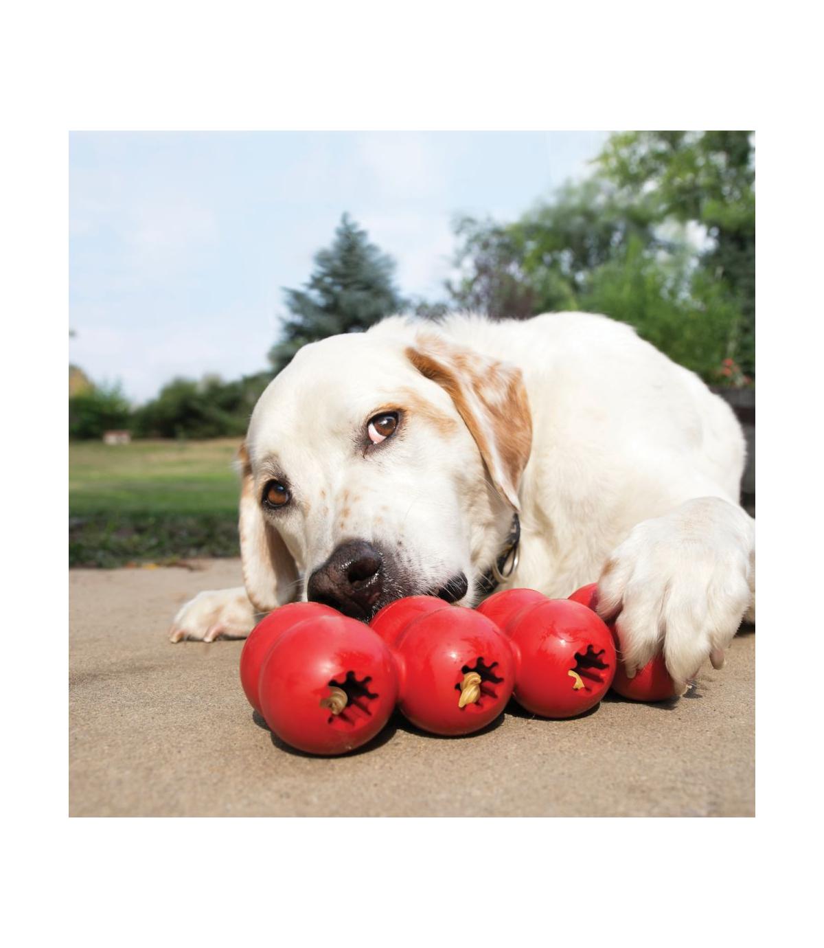 Goodie Ribbon S Kong